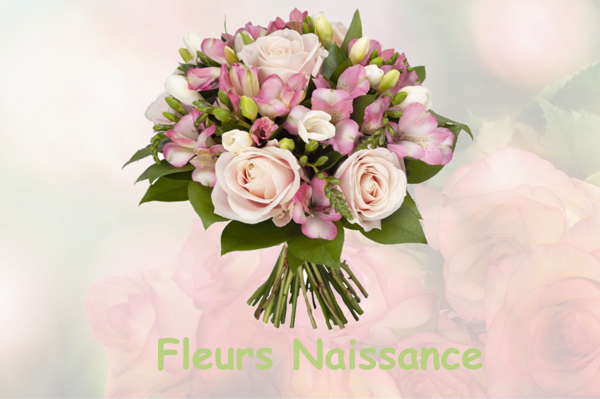 fleurs naissance IZAUT-DE-L-HOTEL