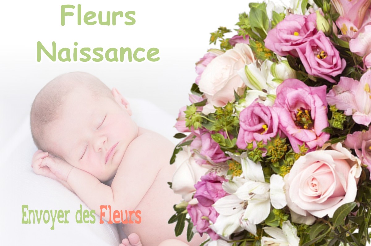 lIVRAISON FLEURS NAISSANCE à IZAUT-DE-L-HOTEL